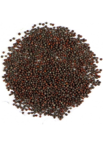 Kahverengi Hardal Tohumu 100 gr