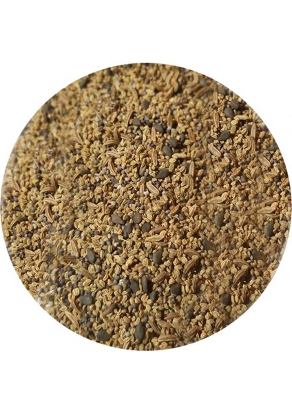 Apium Kereviz ve Tohum Baharatı 100 gr