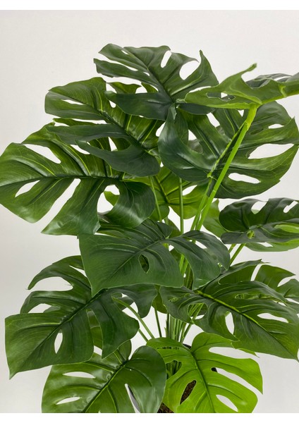 Yapay Çiçek Salon Bitkisi Monstera Deve Tabanı Kırıkbeyaz Renk Yalı Saksıda
