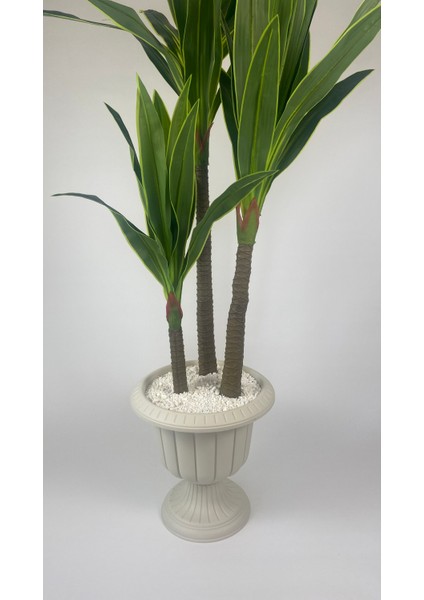 Yucca Bitkisi 220 cm Yapay Ağaç Beyaz modelleri