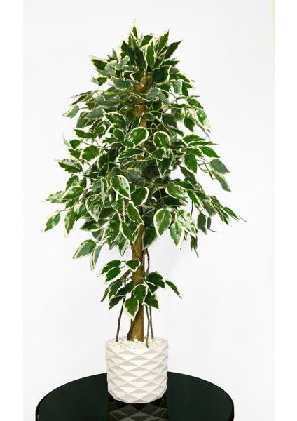 Yapay Benjamin Ağacı 110CM Sarmaşık Detaylı