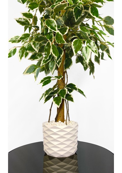 Yapay Benjamin Ağacı 110CM Sarmaşık Detaylı fiyatları