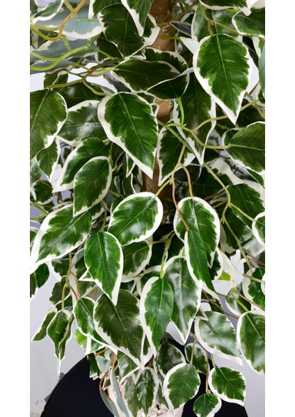 Yapay Benjamin Ağacı 110CM Sarmaşık Detaylı modelleri