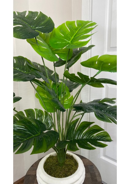 Yapay Çiçek Salon Bitkisi Monstera Deve Tabanı Dekoratif Beton Saksıda modelleri