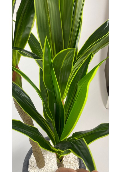 Yucca 220 cm Yapay Bitki Siyah