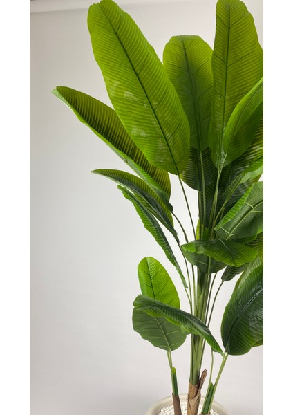 Starliçe 220 cm Yapay Bitki Beyaz Saksı indirimleri