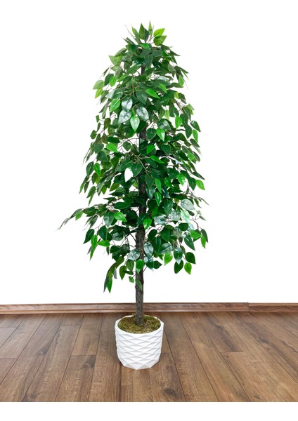 Yapay Benjamin Ağacı 160CM