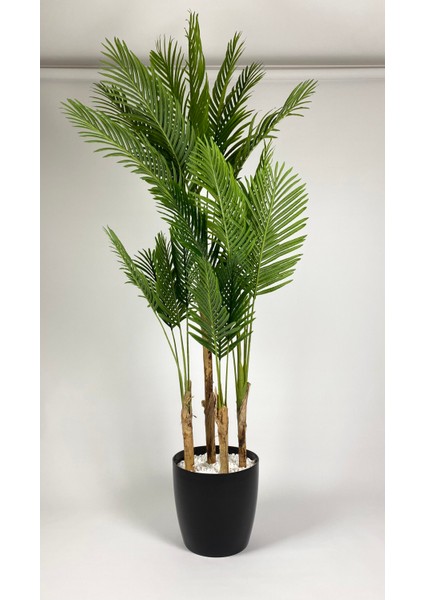 Yapay Areka Ağacı Büyük Boy Palmiye Ağacı 4 Bambu Gövdeli 220CM Siyah Renk Büyük Boy Yakut Saksıda