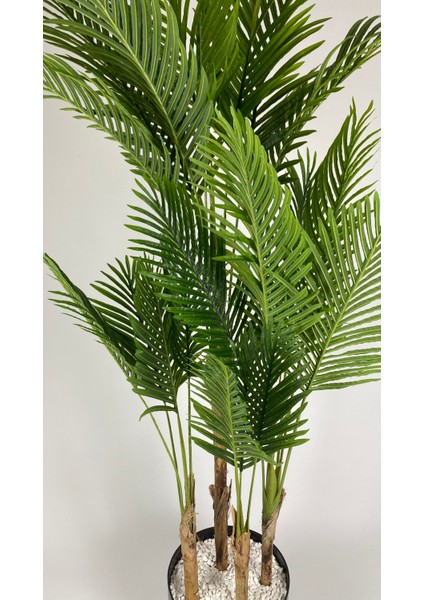 Yapay Areka Ağacı Büyük Boy Palmiye Ağacı 4 Bambu Gövdeli 220CM Siyah Renk Büyük Boy Yakut Saksıda