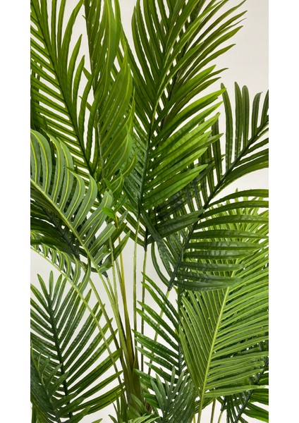 Yapay Areka Ağacı Büyük Boy Palmiye Ağacı 4 Bambu Gövdeli 220CM Siyah Renk Büyük Boy Yakut Saksıda