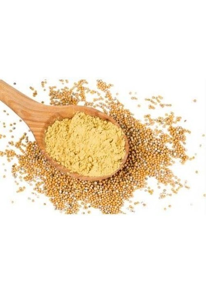 Hardal Öğütülmüş Sarı 1 kg