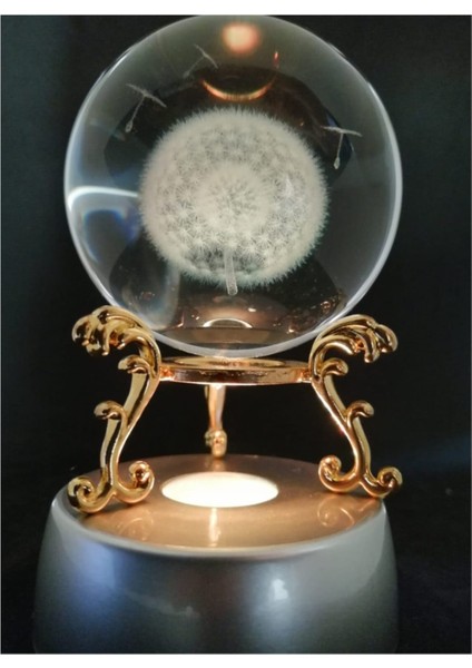 Karahindiba Işıklı Cam Küre