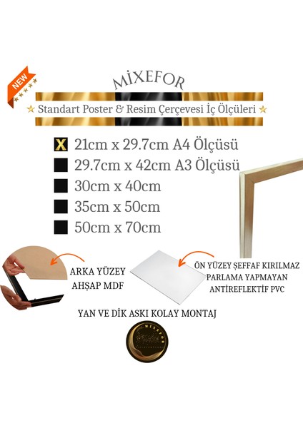 A4 Ölçülerinde Boş Çerçeve -Diploma Fotoğraf Resim Çerçevesi Ön Yüzey Antireflektif fiyatları