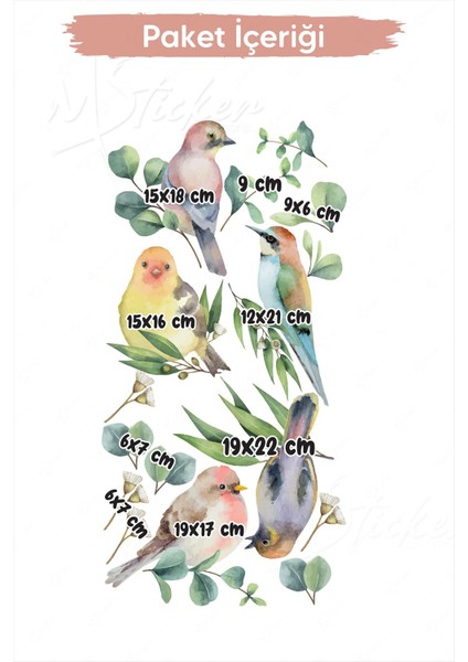 Bahar Kuşları ve Yapraklar Cam Duvar Sticker Seti modelleri