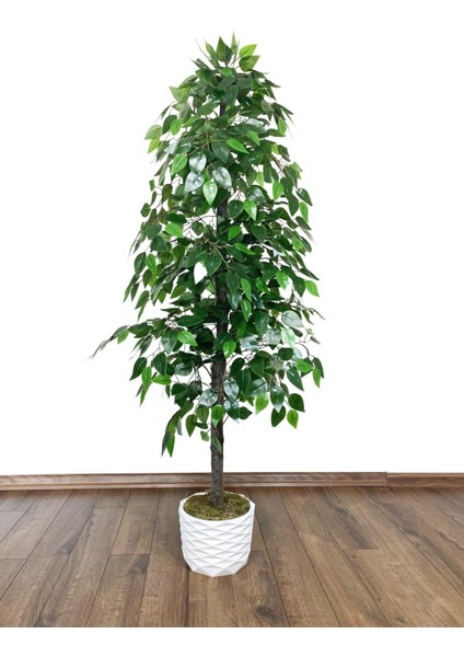 Yapay Benjamin Ağacı 160CM ve Yapay Bambu Ağacı 125CM Yoğun Yapraklı