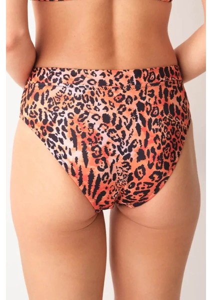 Yüksek Bel V Kesim Desenli Bikini Altı