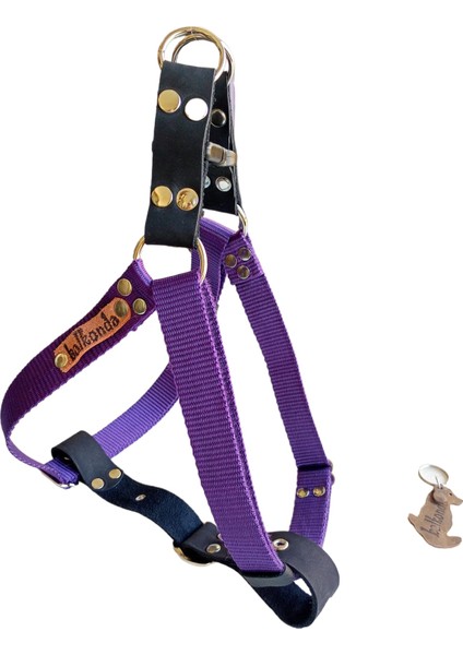 Köpek göğüs tasması gezdirme kayışlı takım kolon nubuk deri mor siyah göğüs ölçüsü:50-90cm ayarlamalı gezdirme kayışı:120cm dog harness TB5-10