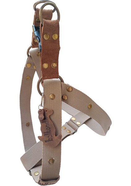 Köpek göğüs tasması gezdirme kayışlı takım deri toprak rengi kolon genişlik:2,5cm göğüs ölçüsü:50-80cm ayarlamalı gezdirme kayışı:120cm dog harness TB5-16