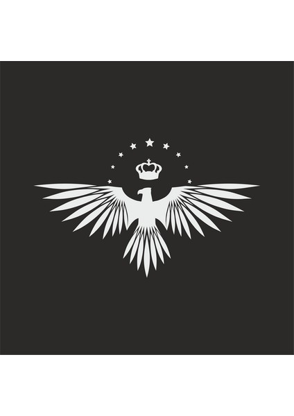 Yıldızlı Kartal Oto Sticker 30X22 cm Siyah modelleri