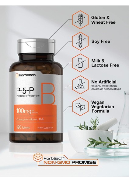 P5P Activated Vitamin B6 100 mg 120 Kapsul Pyridoxal 5 Phosphate Coenzyme B6 fırsatları