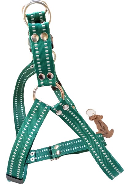 Köpek göğüs tasması gezdirme kayışlı takım kolon yeşil göğüs ölçüsü:50-80cm ayarlamalı gezdirme kayışı:120cm dog harness TB3-7