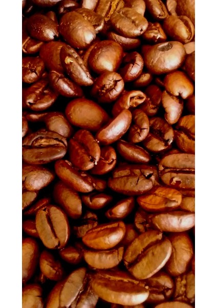 Etiyopya Single Origin 180 gr