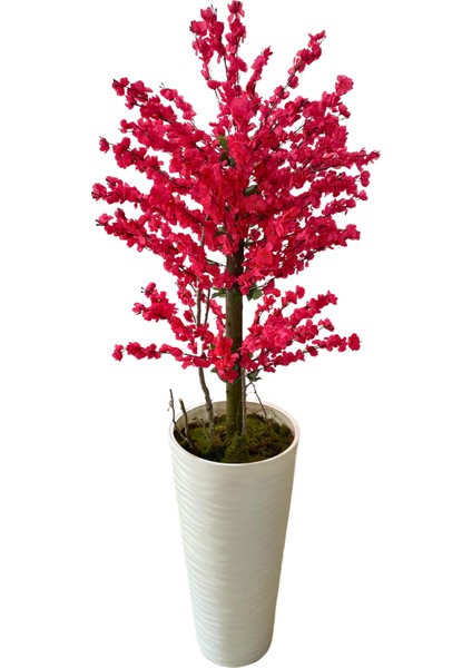 Fuşya Bahardalı 200 cm Yapay Ağaç 80X40 Beyaz Kumsal Saksı modelleri