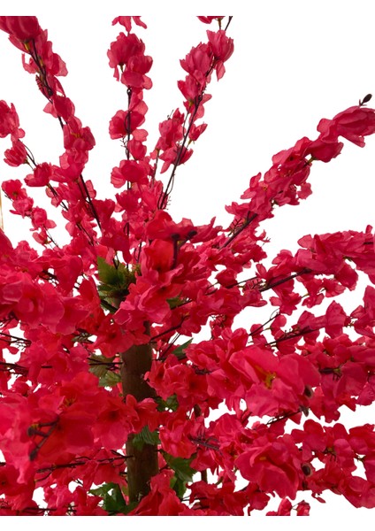 Fuşya Bahardalı 200 cm Yapay Ağaç 80X40 Beyaz Kumsal Saksı fırsatları