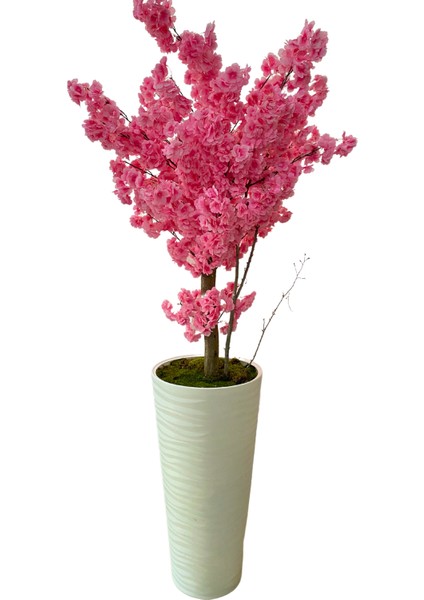 Lüx Pembe Bahardalı 200 cm Yapay Ağaç 80X40 Beyaz Kumsal Saksı