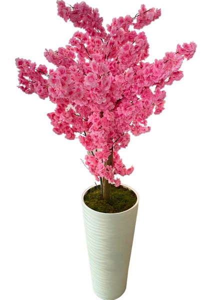 Lüx Pembe Bahardalı 200 cm Yapay Ağaç 80X40 Beyaz Kumsal Saksı modelleri