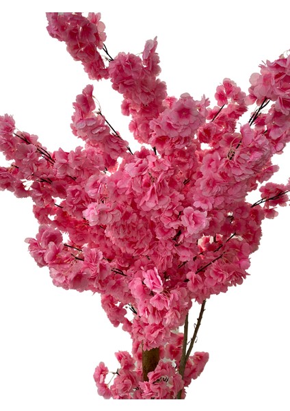 Lüx Pembe Bahardalı 200 cm Yapay Ağaç 80X40 Beyaz Kumsal Saksı fırsatları