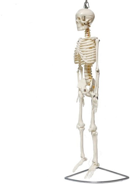 Tam Maketi 85 cm Model 6