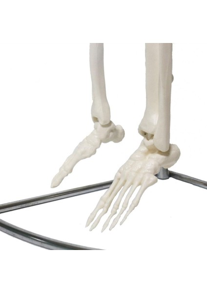 Tam Maketi 85 cm Model 6