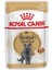 British Shorthair Pouch Konserve 85 gr x 6 Adet 1