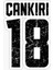 18 Çankırı Sticker Yapıştırma Oto Etiket 17CM 1