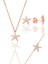 Gümüş Rose Zirkon Taşlı Deniz Yıldızı Üçlü Set 1
