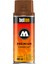 Belton Premium Sprey Boya 400ML N:247 Transparent Beige Brown 3