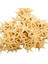 Polyester Deniz Yıldızı Minik Boy 1.5 cm -3 cm - 100'LÜ Natural 1