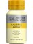 Galeria Akrilik Boya 500ML. 434 Pale Lemon 2