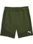 Evostripe Shorts 8 Erkek Şort 1