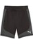 Evostripe Shorts 8 Erkek Şort 1