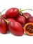 Domates Ağacı Tamarillo Meyvesi Fidanı ( 1 M İle 1,5 M ) Meyve Verme Yaşında 1