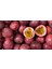 10 Adet Tüplü Mavi Çiçekli Kokulu Passiflora Ağacı Fidanı 3
