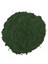 Spirulina Toz Spirulina Powder 100 gr 1