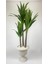 Yucca Bitkisi 220 cm Yapay Ağaç Beyaz 2