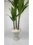 Yucca Bitkisi 220 cm Yapay Ağaç Beyaz 3
