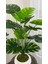 Yapay Çiçek Salon Bitkisi Monstera Deve Tabanı Dekoratif Beton Saksıda 3