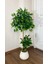 Yapay Benjamin Ağacı Bambu Gövdeli 125CM 1