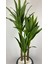 Yucca 220 cm Yapay Bitki Siyah 4