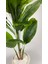 Starliçe 220 cm Yapay Bitki Beyaz Saksı 4